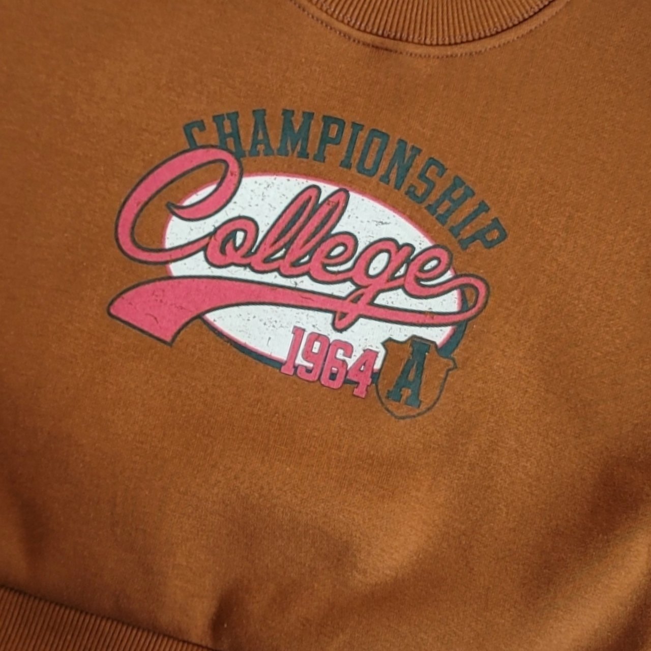 [PRE-ORDER] Champion Sweatshirts