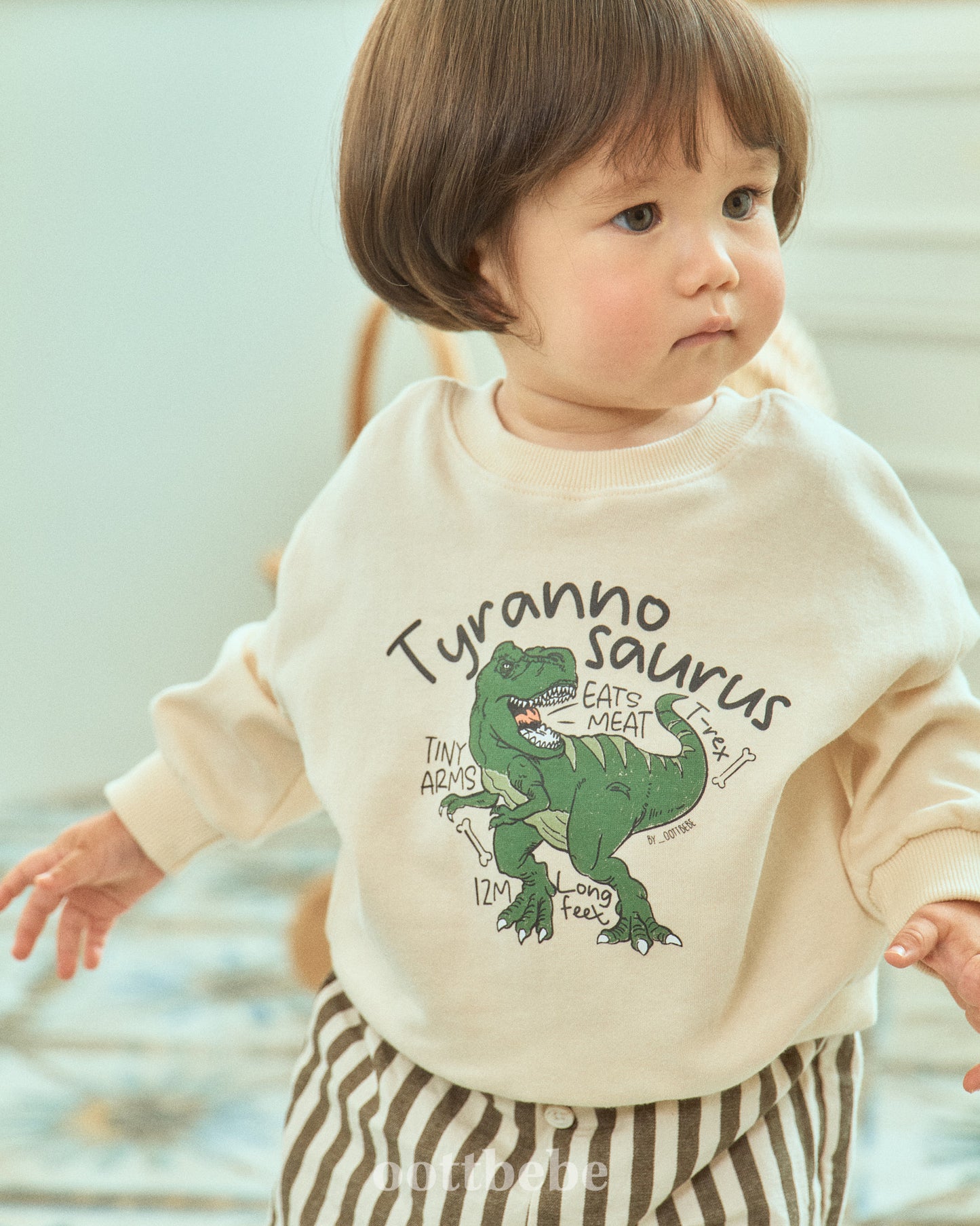[PRE-ORDER] Dino Sweatshirts