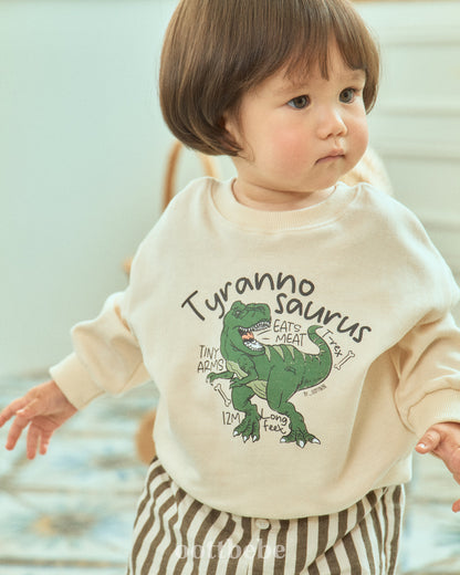 [PRE-ORDER] Dino Sweatshirts