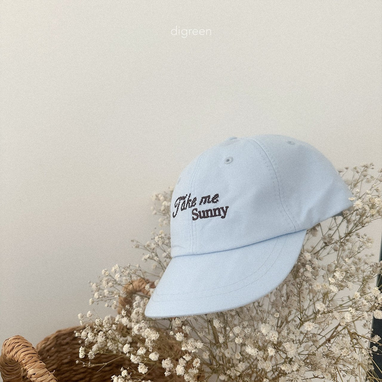 Take Ball Cap [Sky Blue]