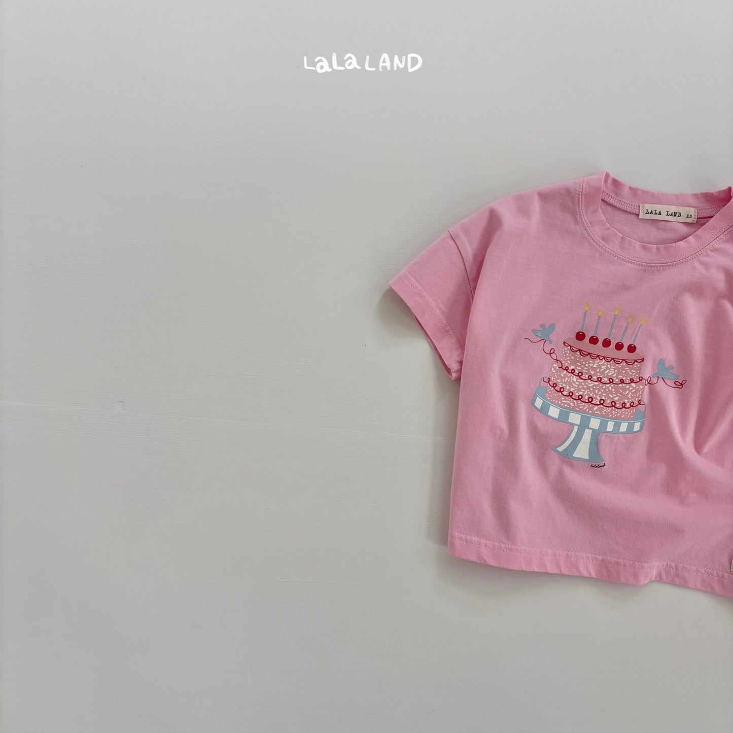 [PRE-ORDER] Cake T-Shirts