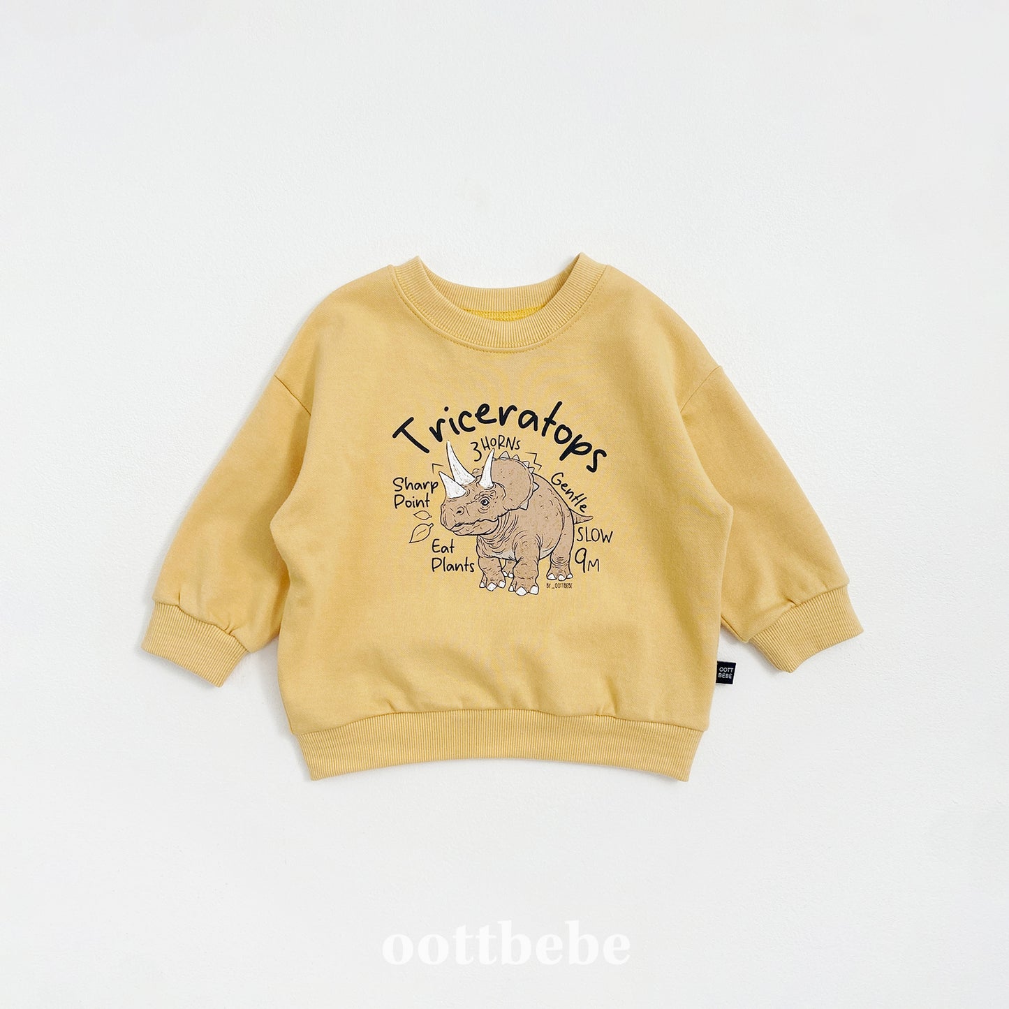 [PRE-ORDER] Dino Sweatshirts
