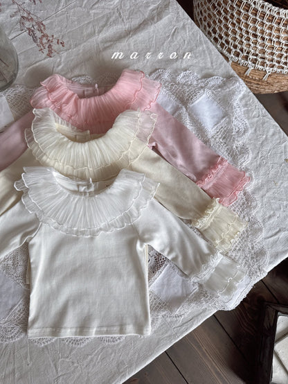 [PRE-ORDER] Stella T-Shirts