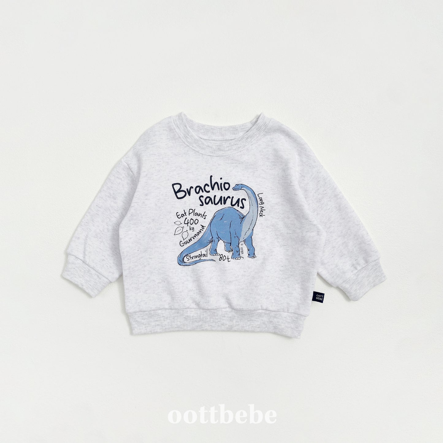 [PRE-ORDER] Dino Sweatshirts
