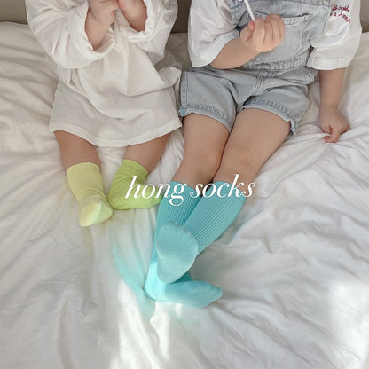 Hong Socks Set [Lemon Candy Set/XL(7-10yr/200-220mm)]