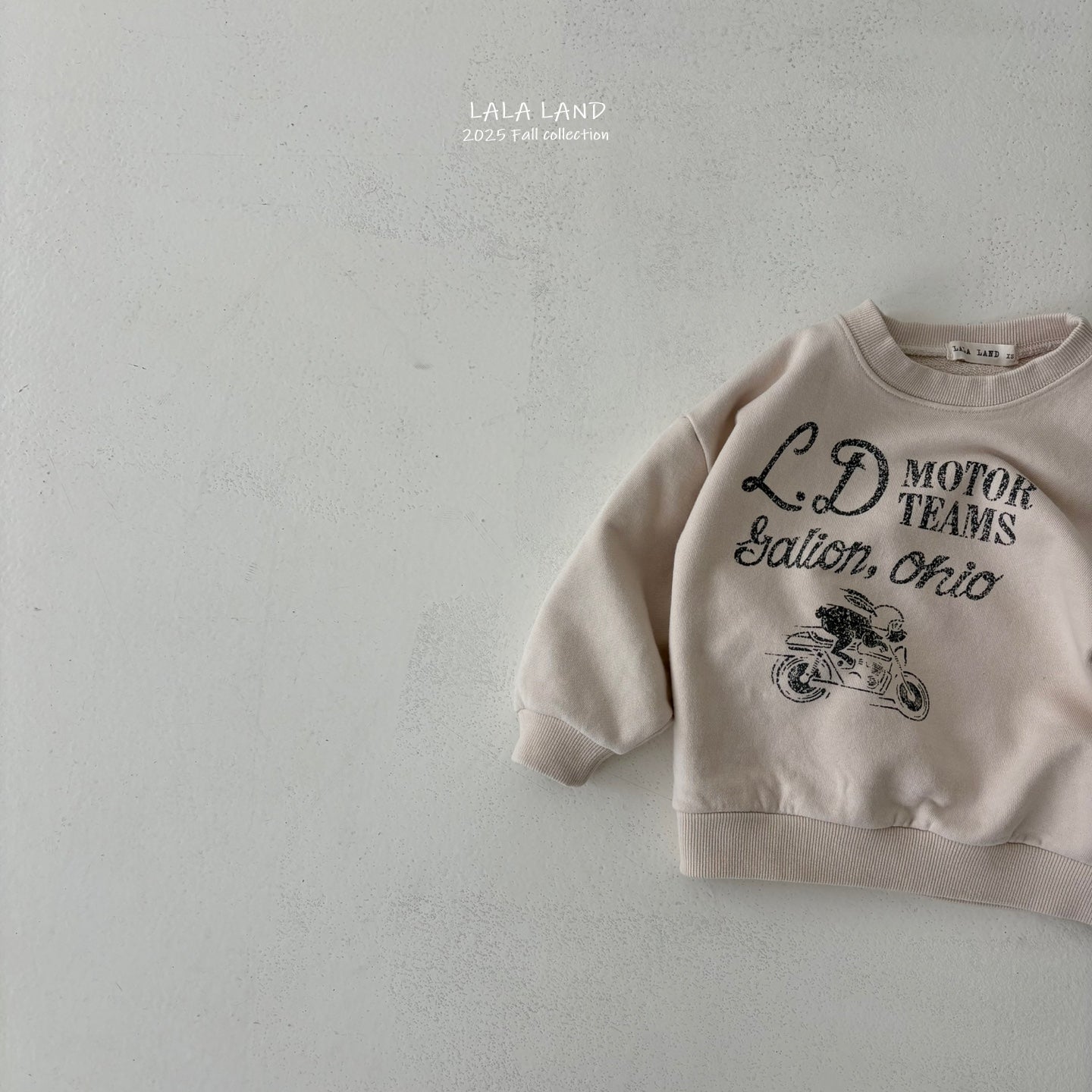 [PRE-ORDER] Rabbit Bike Sweatshirts