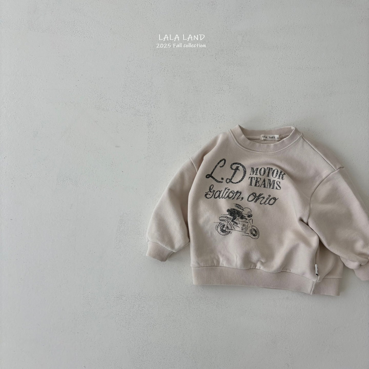[PRE-ORDER] Rabbit Bike Sweatshirts