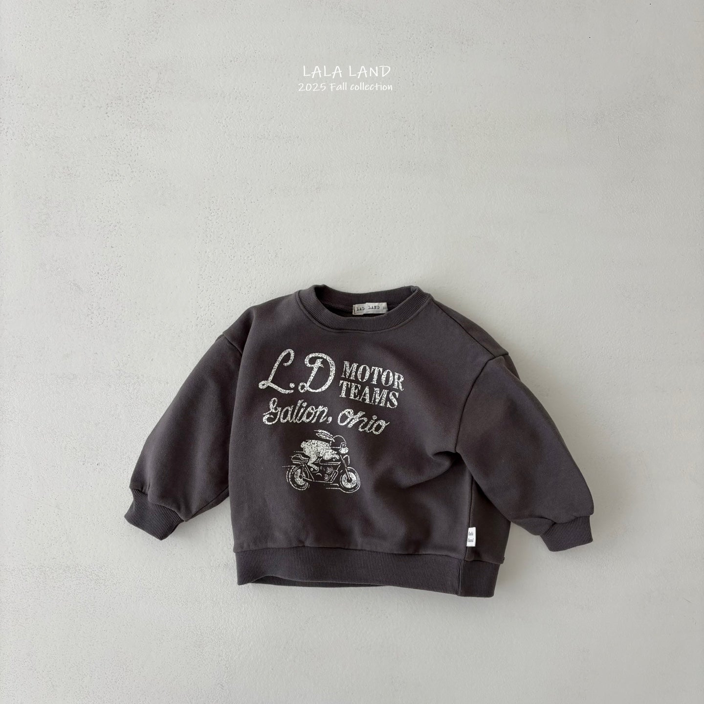 [PRE-ORDER] Rabbit Bike Sweatshirts