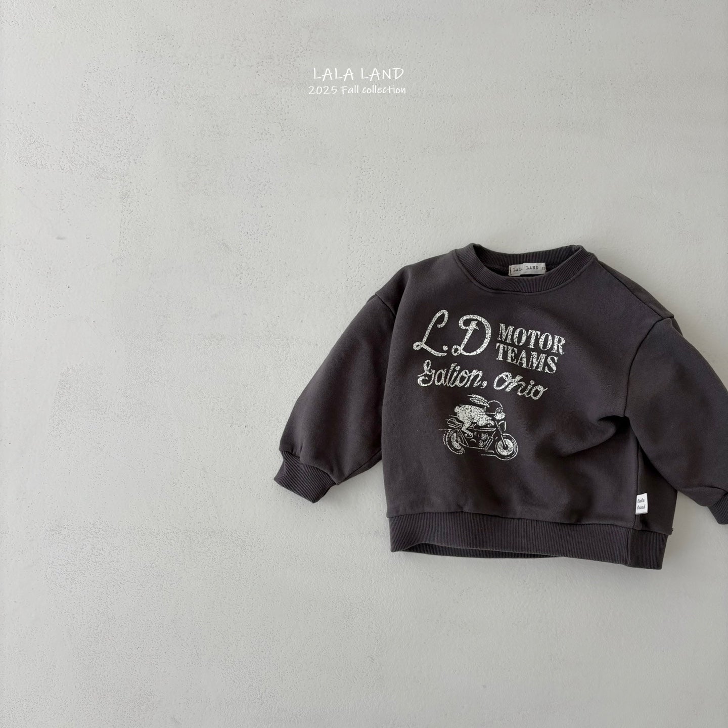 [PRE-ORDER] Rabbit Bike Sweatshirts