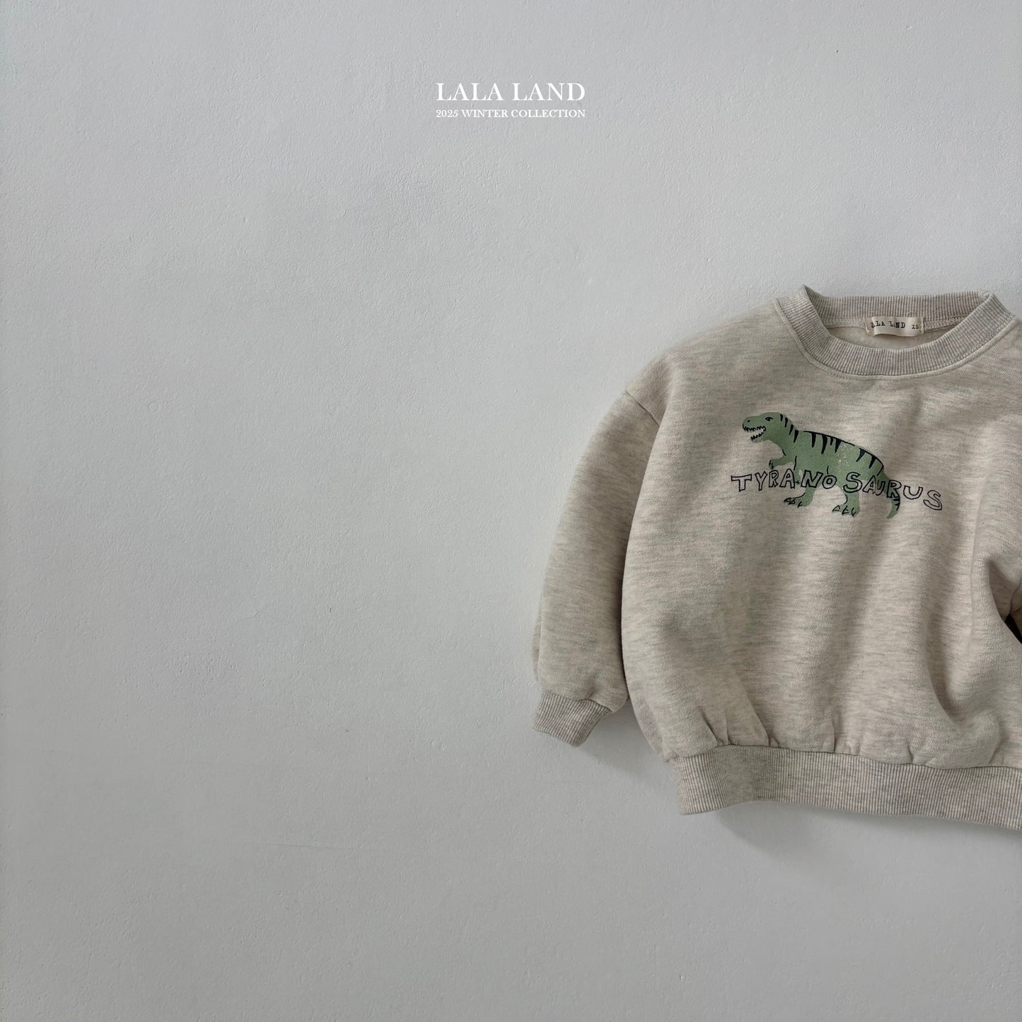 [PRE-ORDER] Winter Dino Sweatshirts