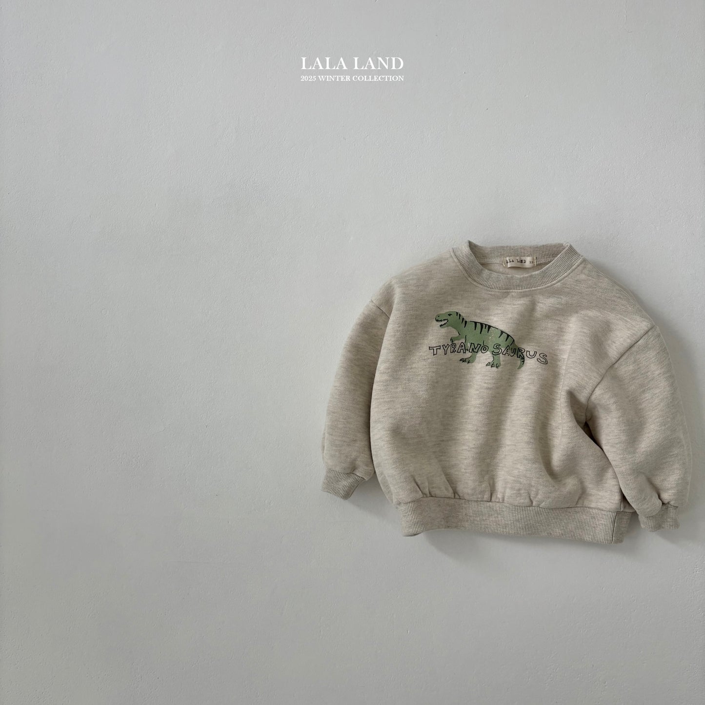 [PRE-ORDER] Winter Dino Sweatshirts
