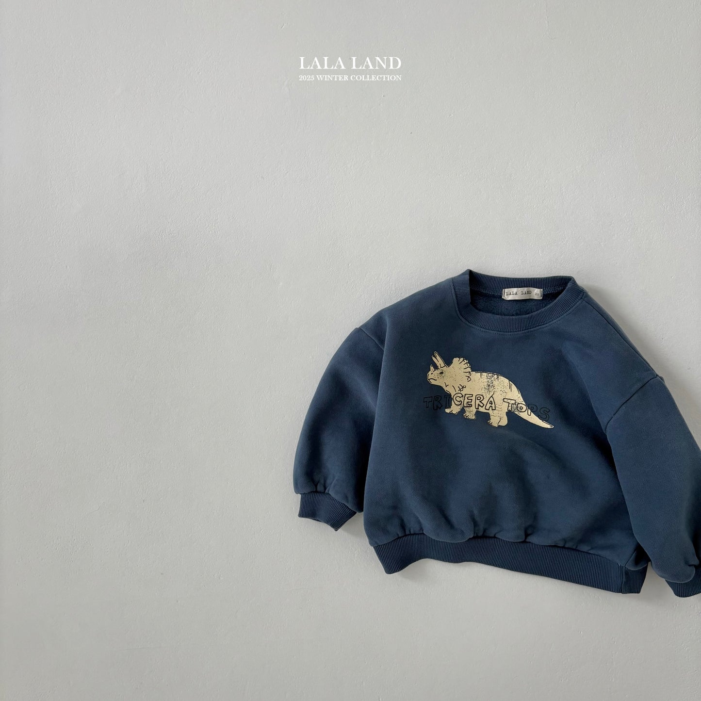 [PRE-ORDER] Winter Dino Sweatshirts