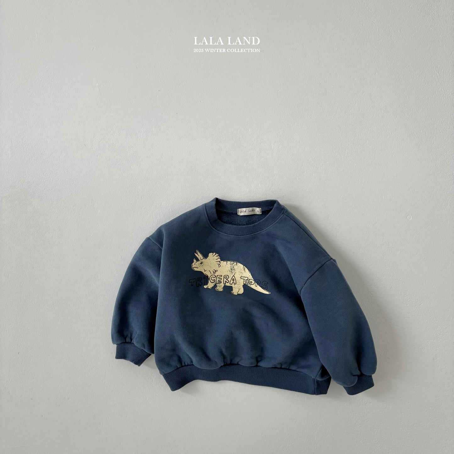[PRE-ORDER] Winter Dino Sweatshirts