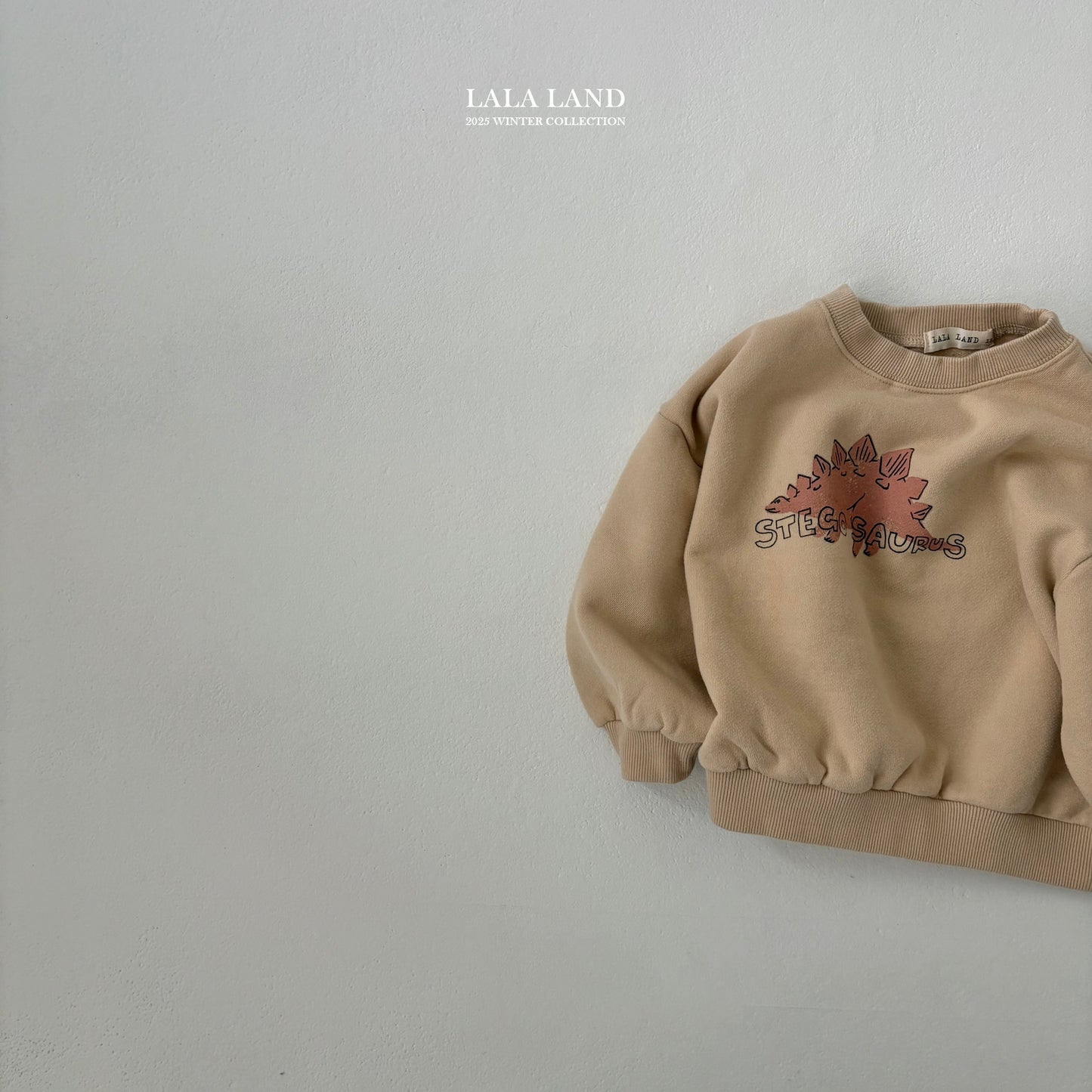 [PRE-ORDER] Winter Dino Sweatshirts