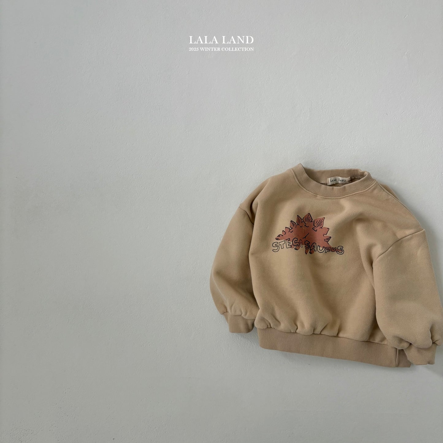 [PRE-ORDER] Winter Dino Sweatshirts