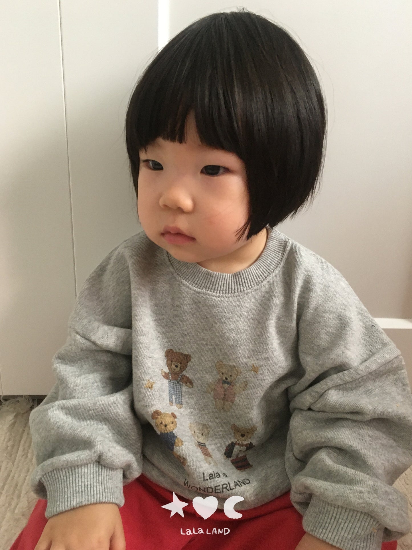 [PRE-ORDER] Bear Friends Baby Sweatshirts
