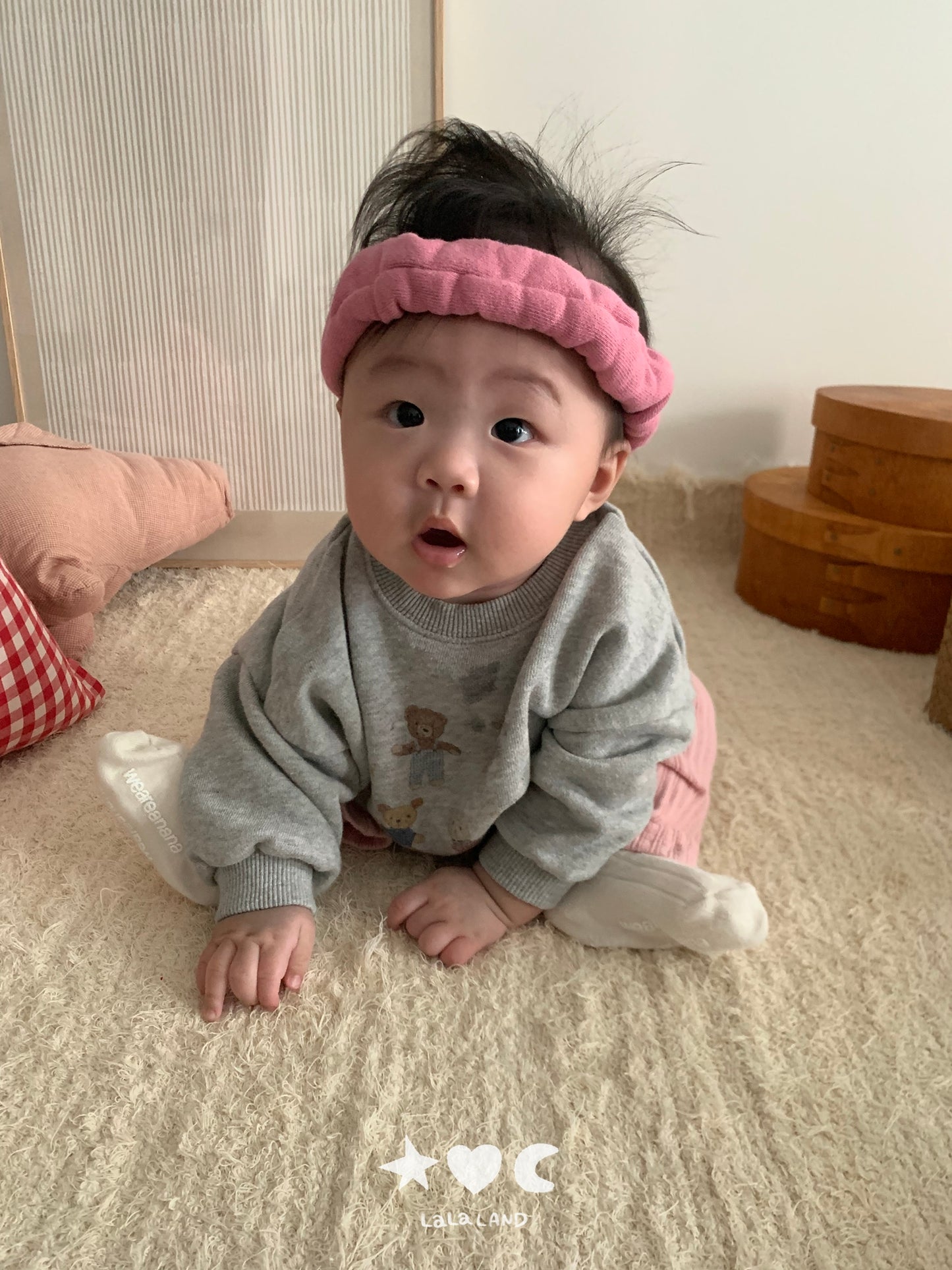 [PRE-ORDER] Bear Friends Baby Sweatshirts