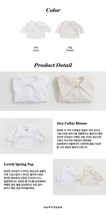 Airy Collar Blouse