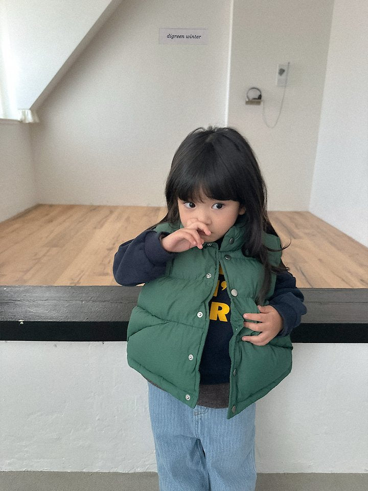 [PRE-ORDER] Vivid Padded Vest