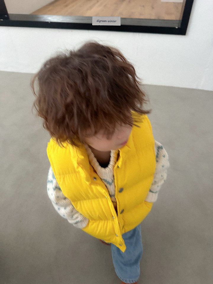 [PRE-ORDER] Vivid Padded Vest
