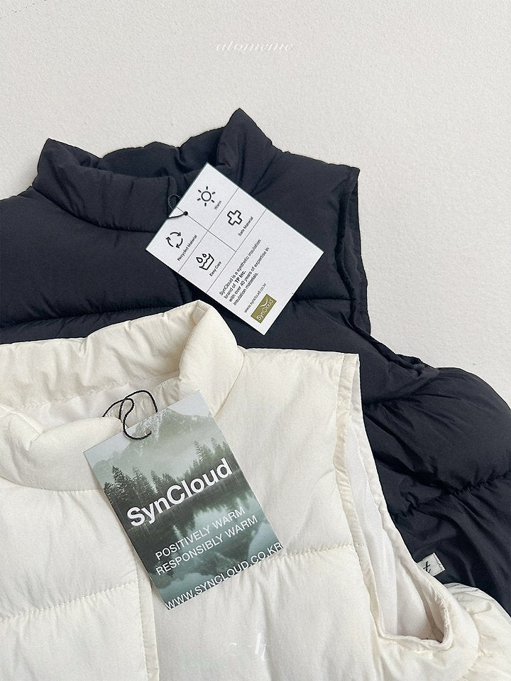 [PRE-ORDER] Pongle Padded Vest