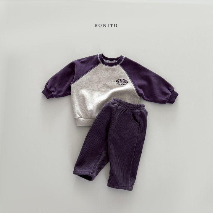 [PRE-ORDER] Stitch Raglan Sweatshirts