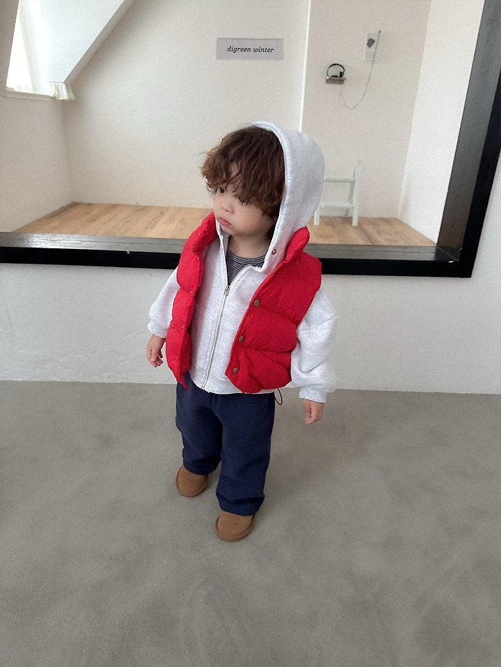 [PRE-ORDER] Vivid Padded Vest