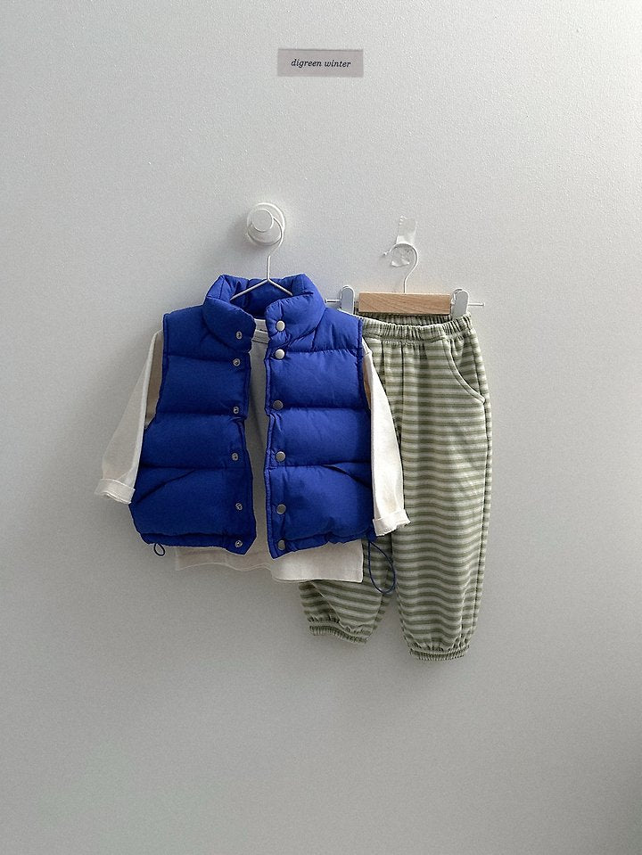 [PRE-ORDER] Vivid Padded Vest