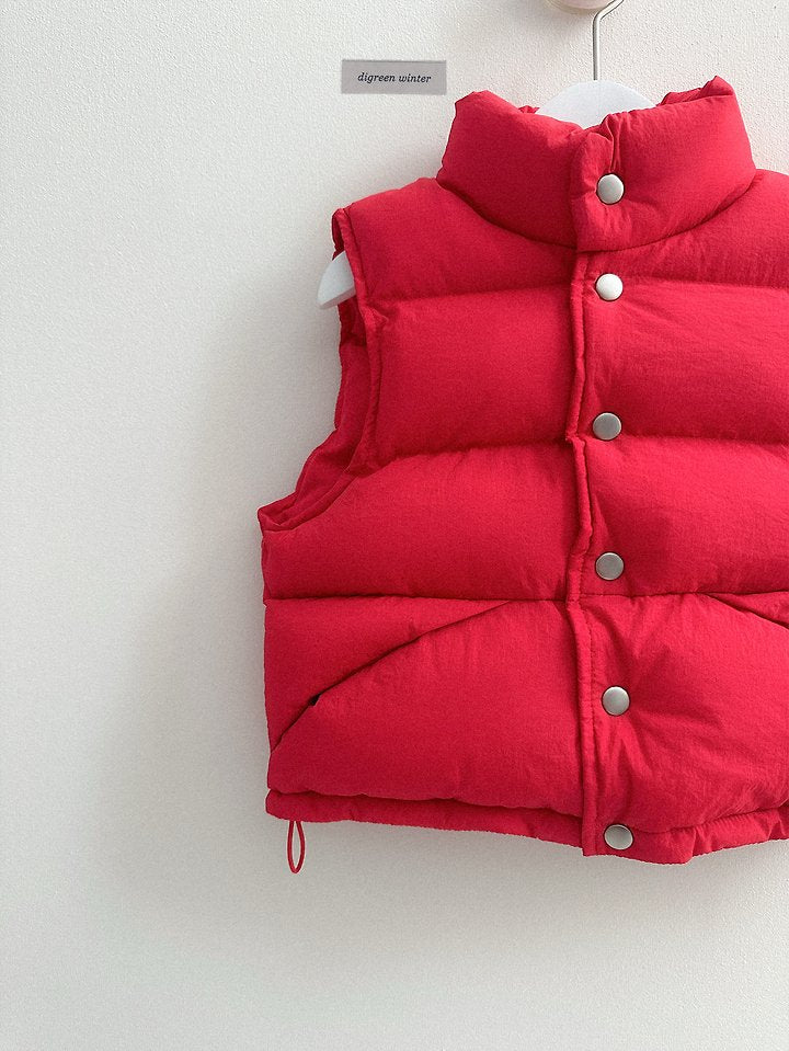[PRE-ORDER] Vivid Padded Vest