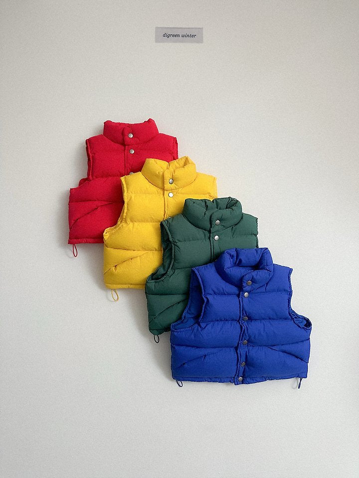 [PRE-ORDER] Vivid Padded Vest