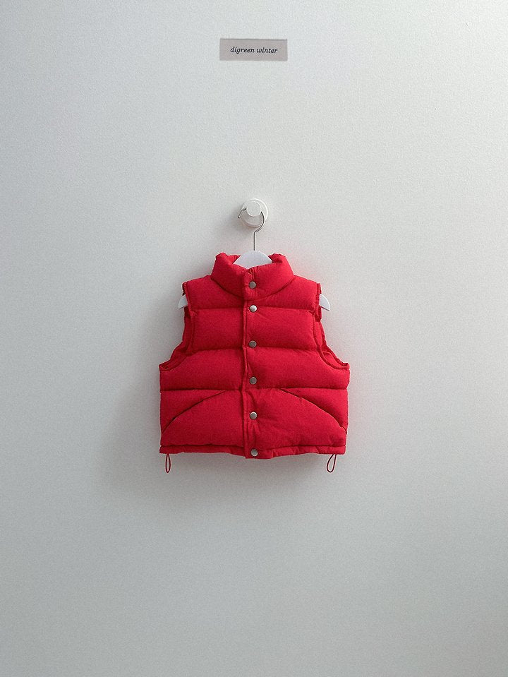 [PRE-ORDER] Vivid Padded Vest