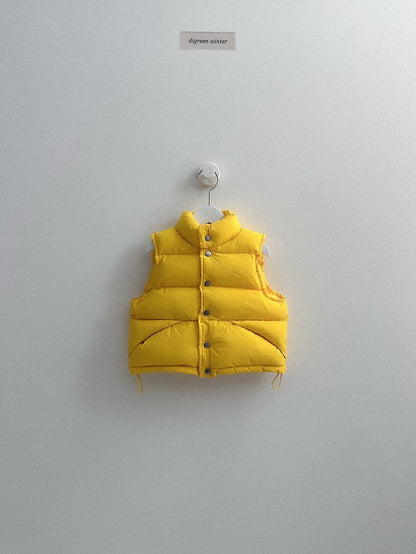 [PRE-ORDER] Vivid Padded Vest