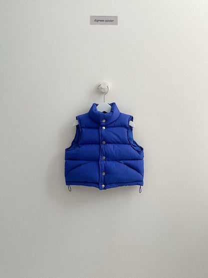 [PRE-ORDER] Vivid Padded Vest