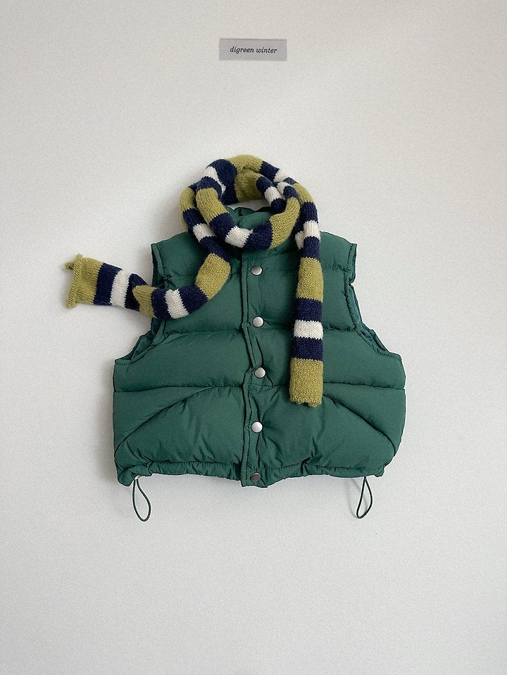 [PRE-ORDER] Vivid Padded Vest