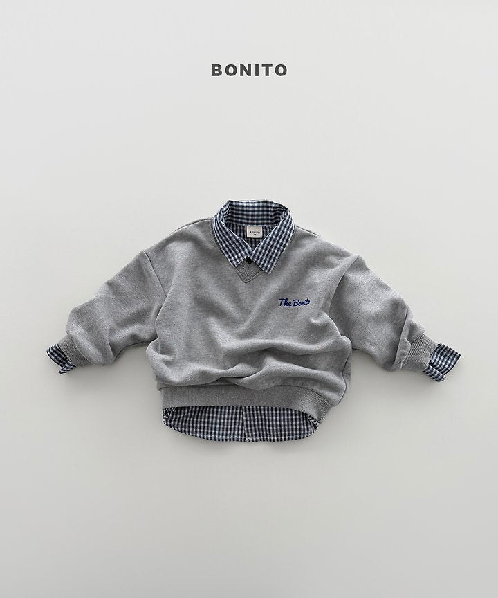 V Neck Sweatshirts [Melange Grey]