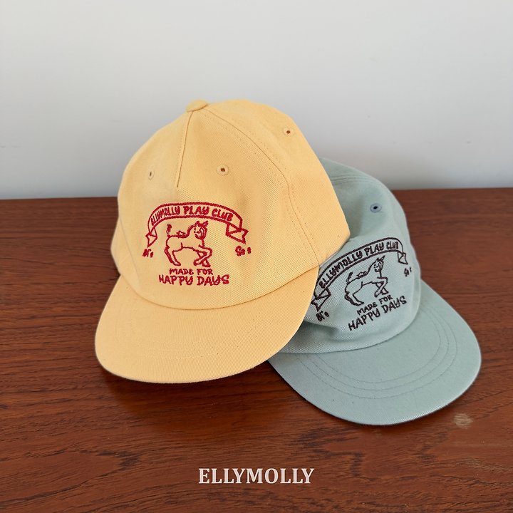 [PRE-ORDER] Horse Ball Cap