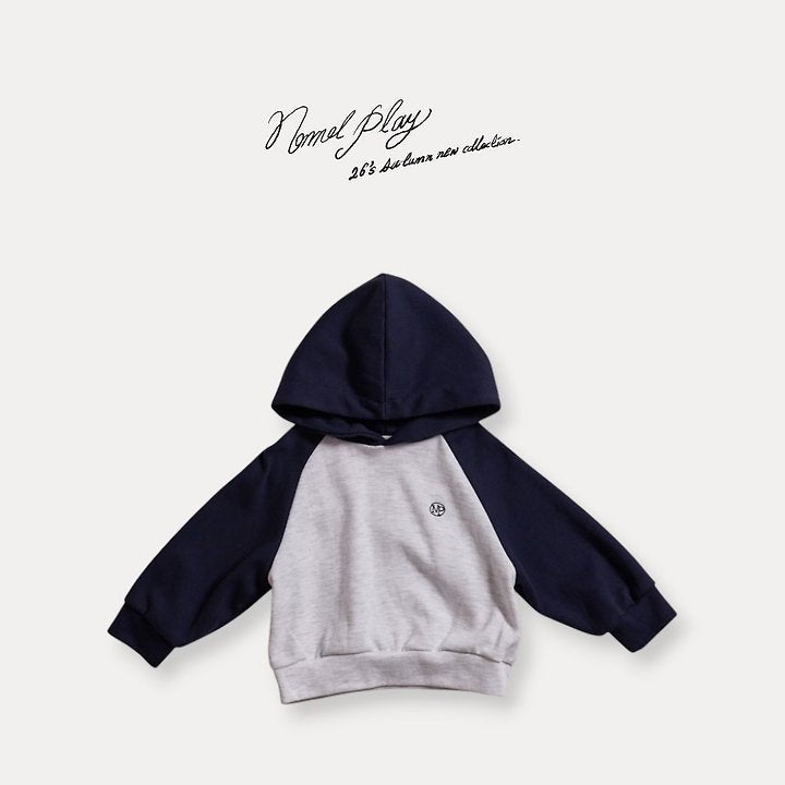 [PRE-ORDER] Basic Hoodie Sweatshirts