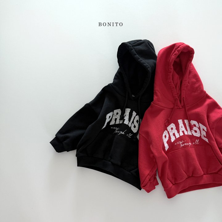[PRE-ORDER] Praise Hoodie Sweatshirts