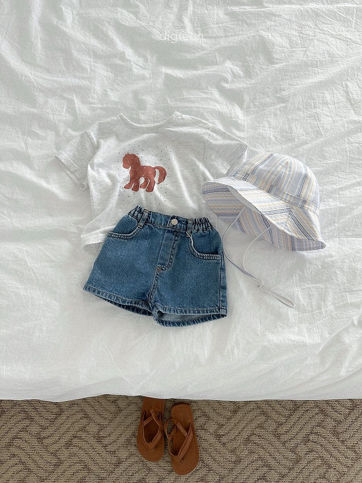 [PRE-ORDER] Veil Denim Shorts