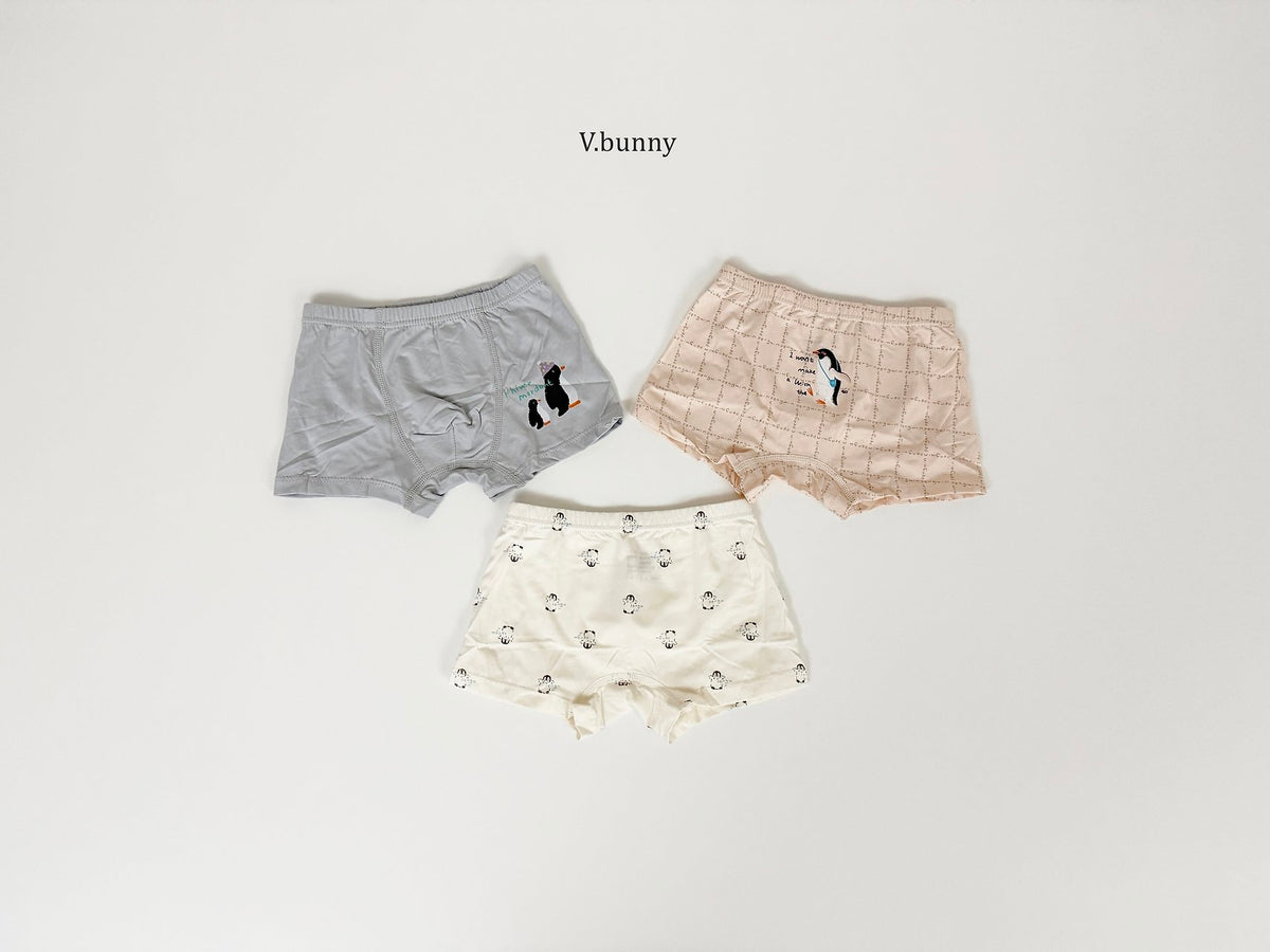 [PRE-ORDER] Wish Penguin Boys' Underwear Set
