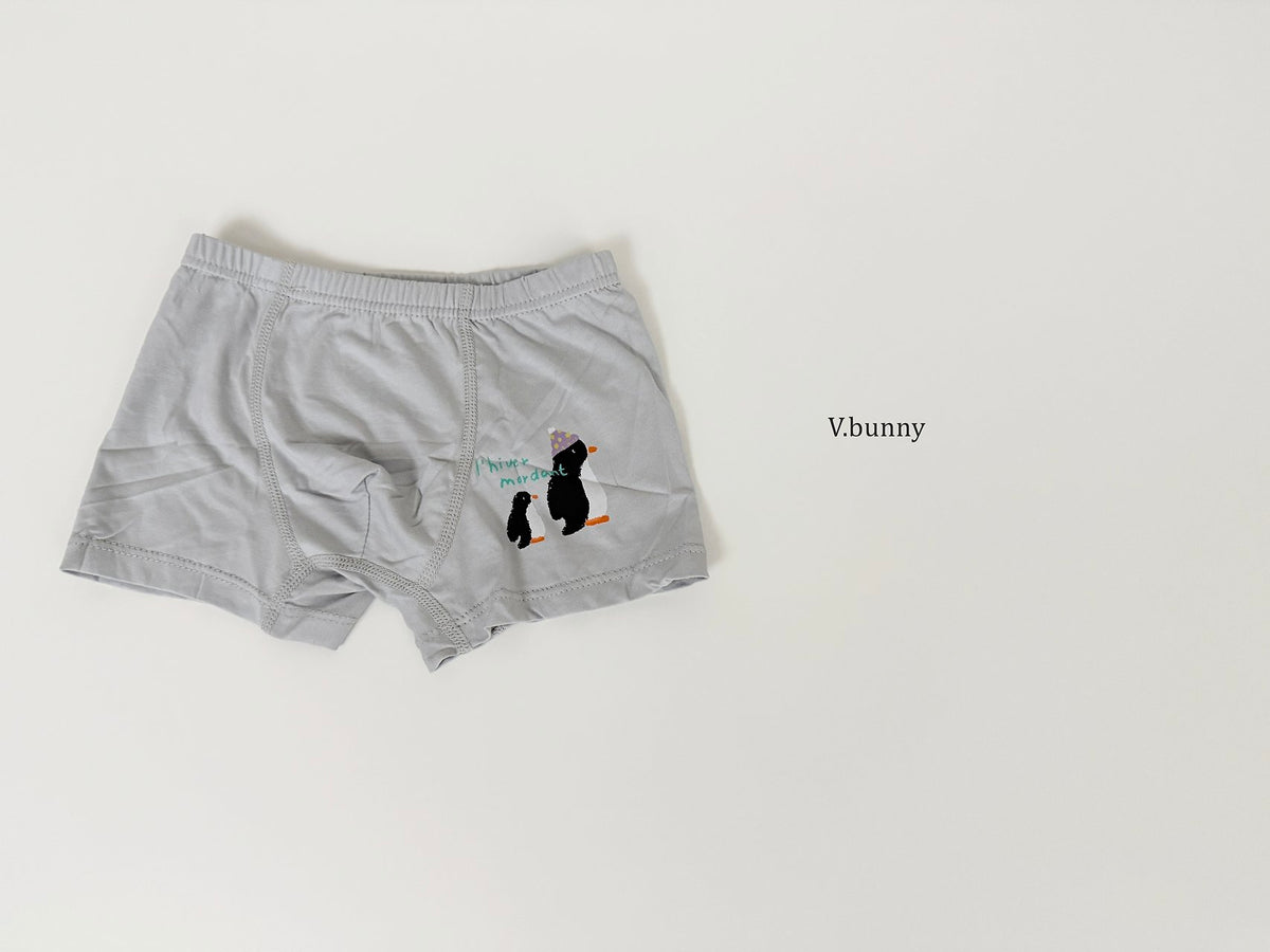 [PRE-ORDER] Wish Penguin Boys' Underwear Set