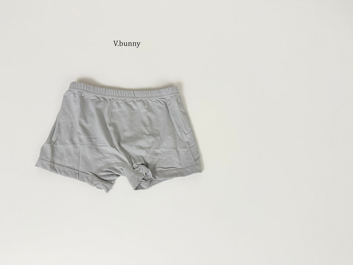 [PRE-ORDER] Wish Penguin Boys' Underwear Set