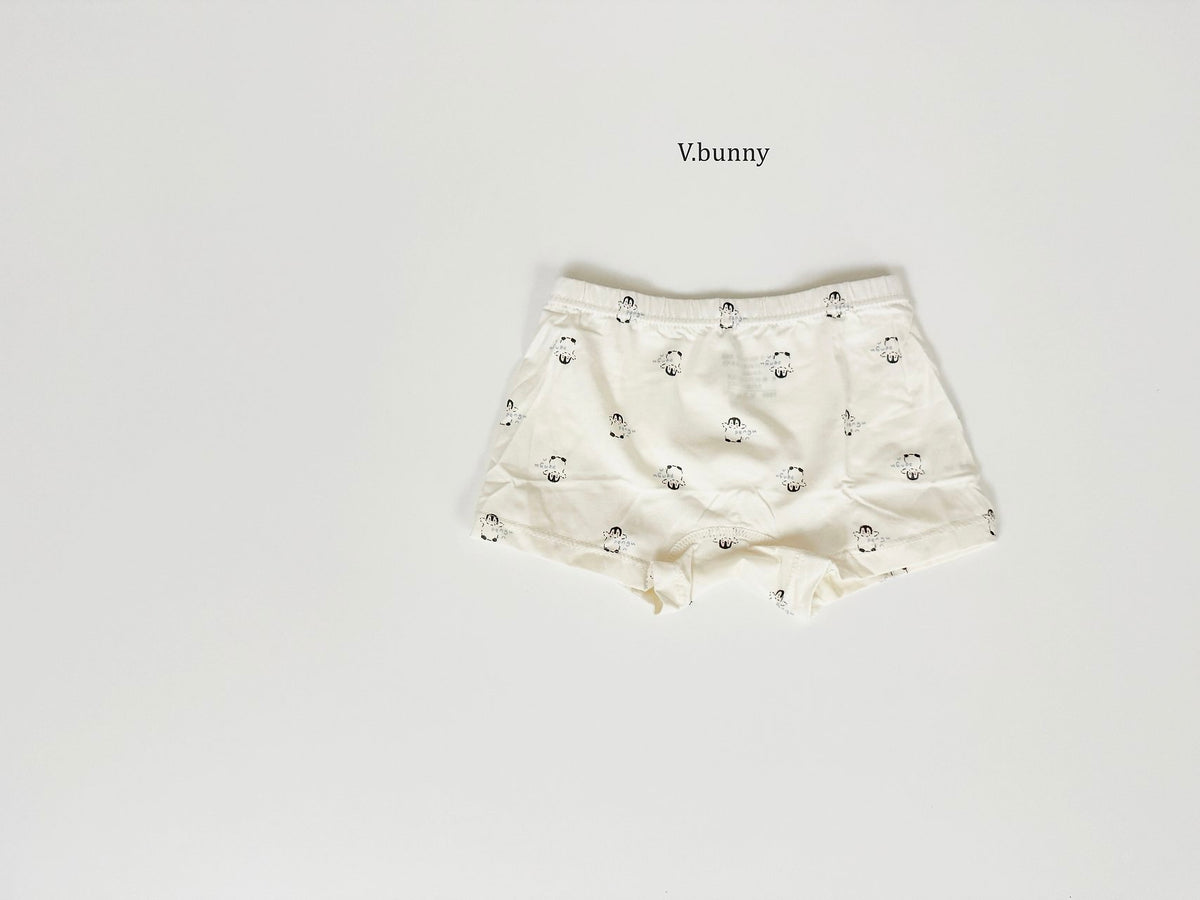 [PRE-ORDER] Wish Penguin Boys' Underwear Set