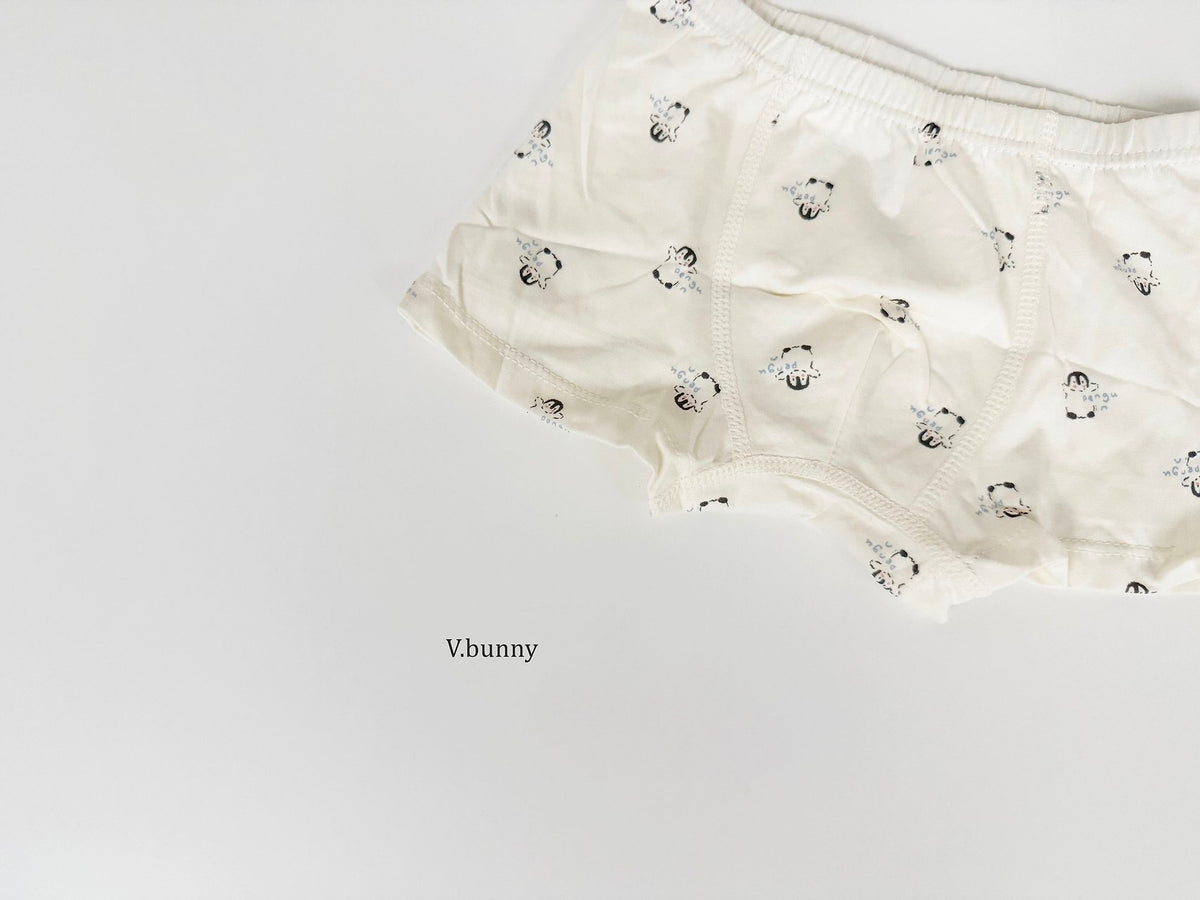 [PRE-ORDER] Wish Penguin Boys' Underwear Set