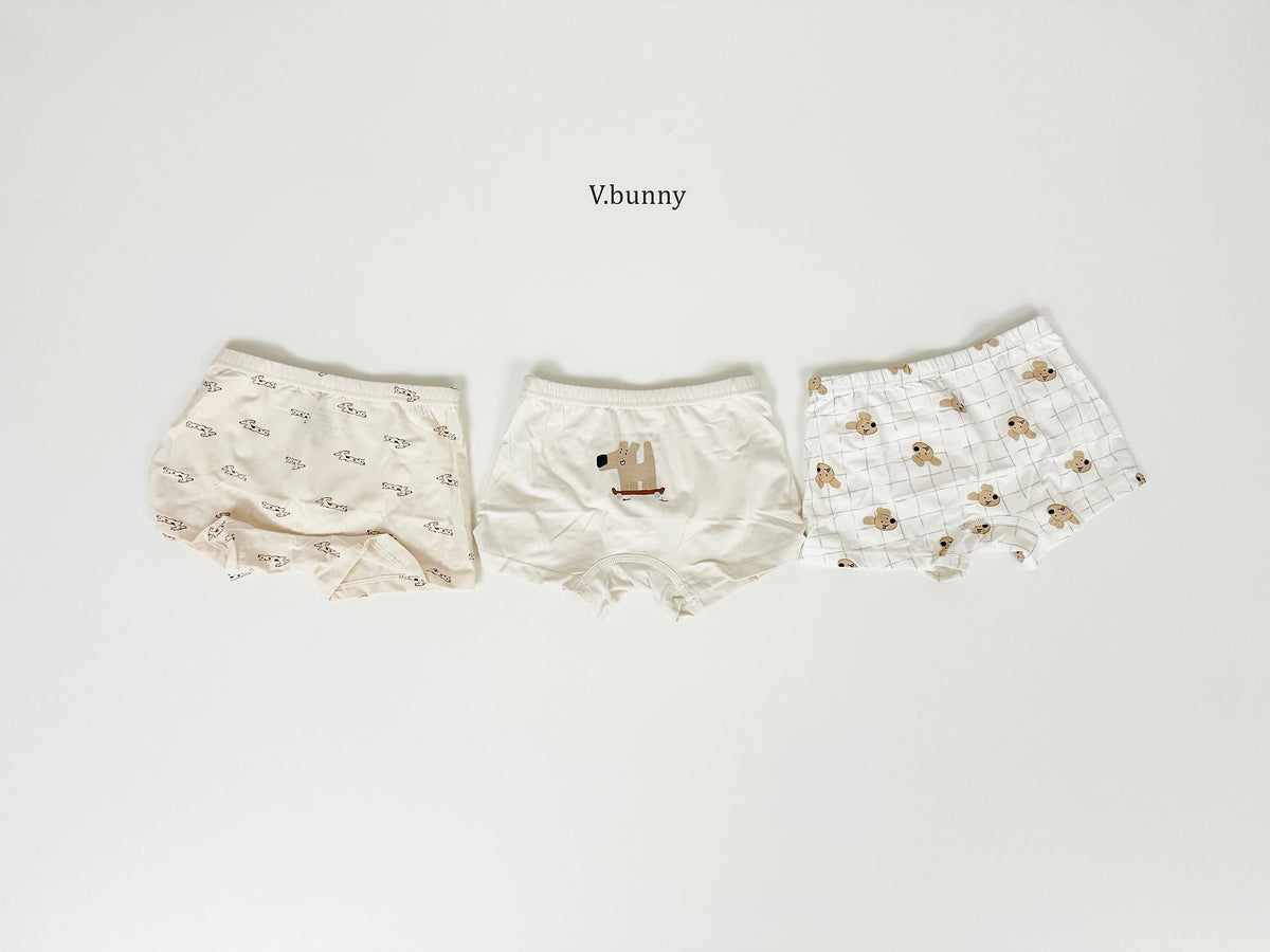 [PRE-ORDER] Puppy Boys' Underwear Set