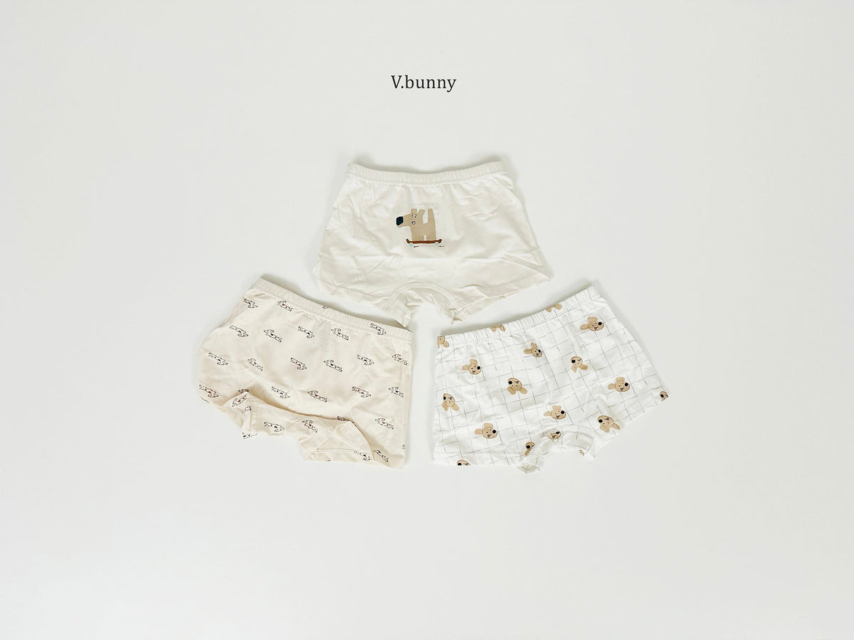 [PRE-ORDER] Puppy Boys' Underwear Set