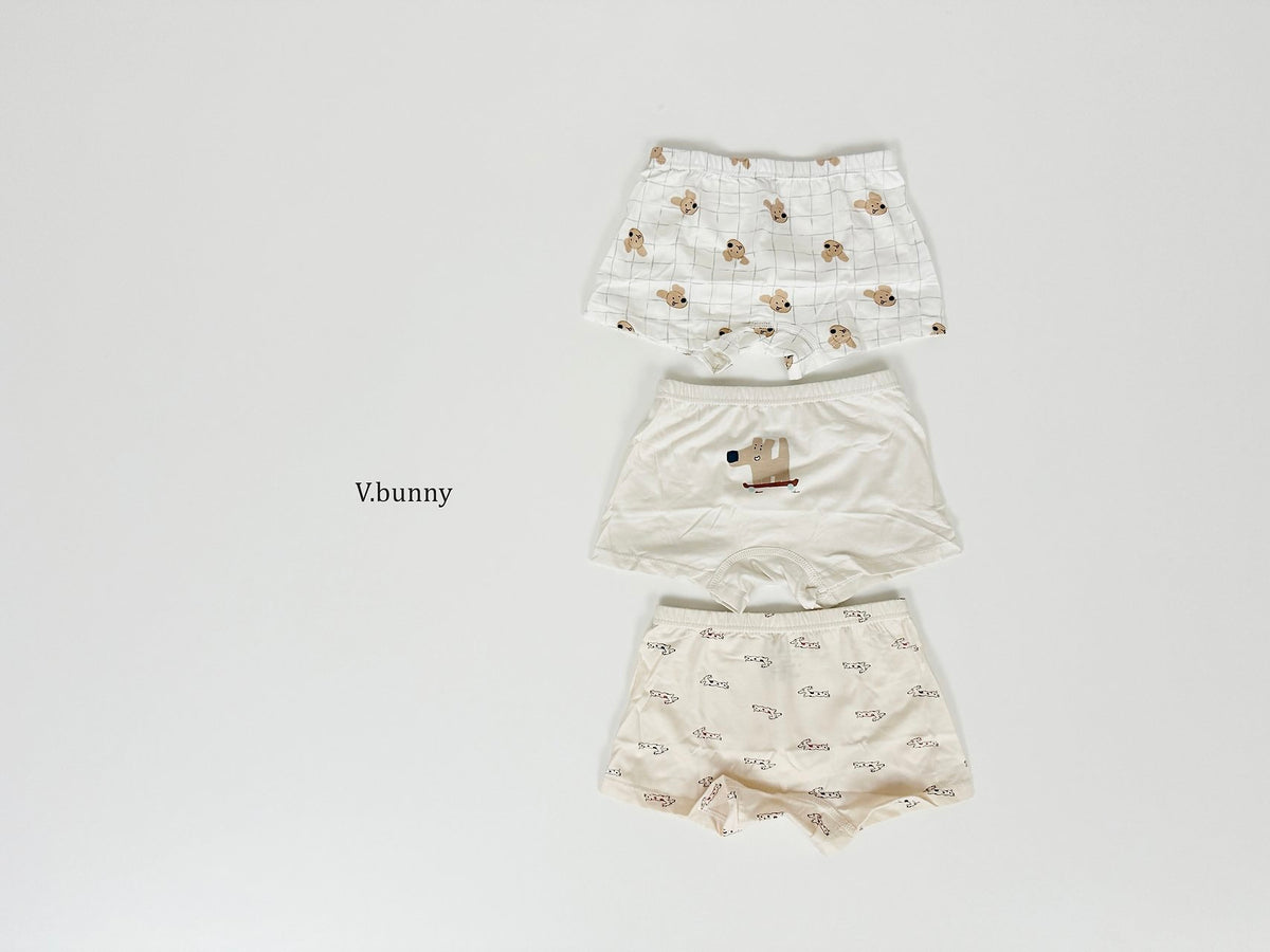 [PRE-ORDER] Puppy Boys' Underwear Set