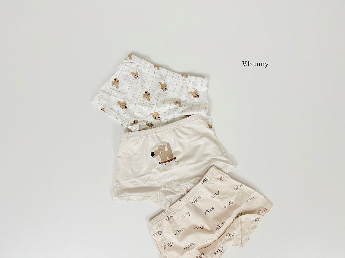 [PRE-ORDER] Puppy Boys' Underwear Set