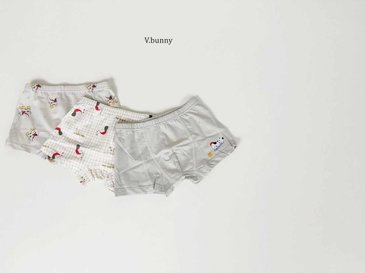 [PRE-ORDER] Dally Pop Boys' Underwear