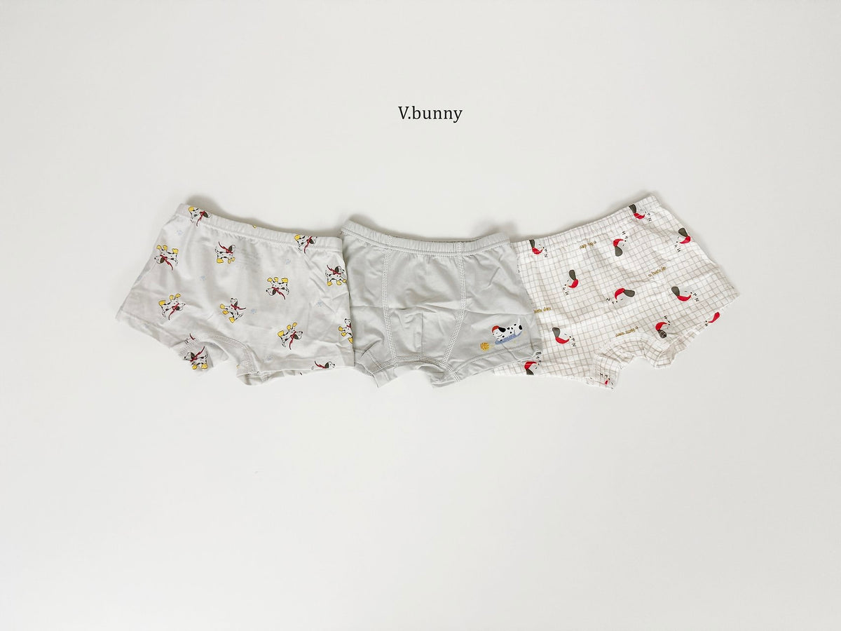 [PRE-ORDER] Dally Pop Boys' Underwear